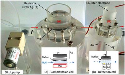 First Deployment and Validation of in Situ Silicate Electrochemical Sensor in Seawater